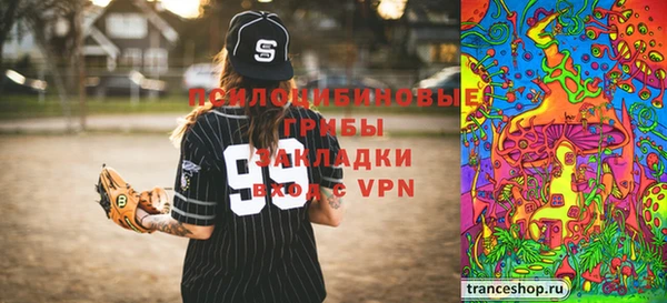 прущие грибы Баксан