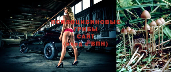мескалин Арсеньев