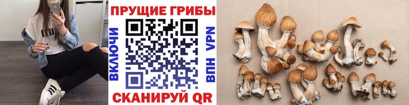 Галлюциногенные грибы ЛСД  Мурманск 